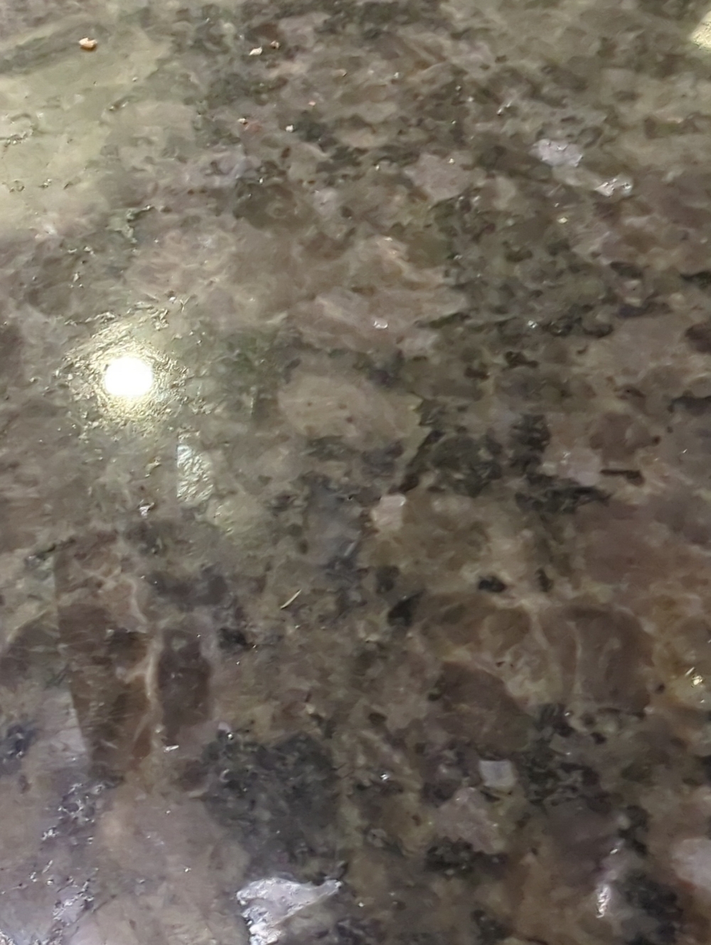Brown and Black Polished Granite Slab
